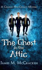 Ghost in the Attic