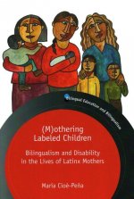 (M)othering Labeled Children
