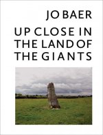 Jo Baer - Up Close in the Land of the Giants
