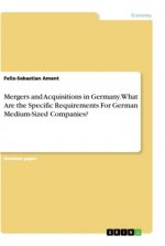 Mergers and Acquisitions in Germany. What Are the Specific Requirements For German Medium-Sized Companies?
