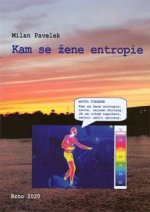 Kam se žene entropie