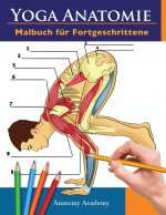 Yoga Anatomie Malbuch fur Fortgeschrittene