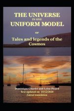 Universe in one uniform model