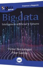 GuiaBurros Big data