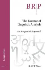 The Essence of Linguistic Analysis: An Integrated Approach