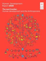 Human development report 2020