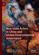 Non-state Actors in China and Global Environmental Governance