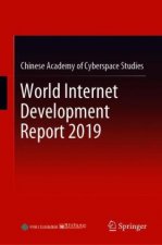 World Internet Development Report 2019