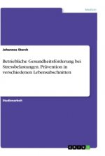Betriebliche Gesundheitsförderung bei Stressbelastungen. Prävention in verschiedenen Lebensabschnitten