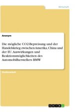 Die mögliche CO2-Bepreisung und der Handelskrieg zwischen Amerika, China und der EU. Auswirkungen und Reaktionsmöglichkeiten des Automobilherstellers