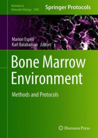 Bone Marrow Environment