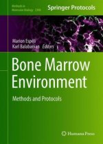Bone Marrow Environment