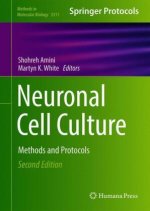Neuronal Cell Culture