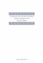 A Commentary Upon the Book of the Revelation, 2: Volume 2, Lectures on Chapters 4-11