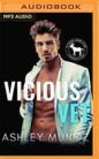 Vicious Vet: A Hero Club Novel