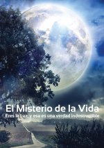 Misterio de la Vida