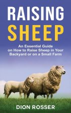 Raising Sheep