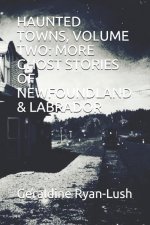 Haunted Towns, Volume Two: More Ghost Stories of Newfoundland & Labrador