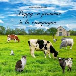 Poppy se prom?ne ? la campagne