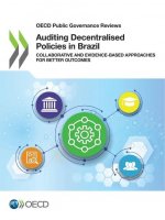 Auditing decentralised policies in Brazil