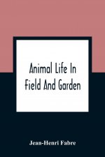 Animal Life In Field And Garden