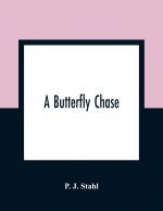 Butterfly Chase