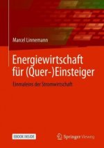Energiewirtschaft für (Quer-)Einsteiger