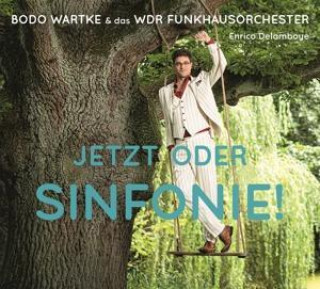 Jetzt oder Sinfonie !