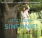 Jetzt oder Sinfonie !
