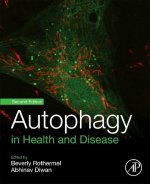 Autophagy in Health and Disease
