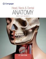 Head, Neck & Dental Anatomy