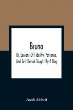Bruno; Or, Lessons Of Fidelity, Patience, And Self-Denial Taught By A Dog