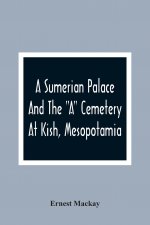Sumerian Palace And The A Cemetery At Kish, Mesopotamia