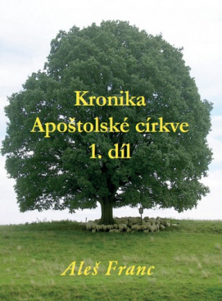 Kronika Apoďż˝tolskďż˝ cďż˝rkve 1.dďż˝l