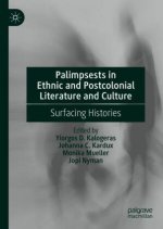 Palimpsests in Ethnic and Postcolonial Literature and Culture