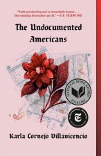 Undocumented Americans