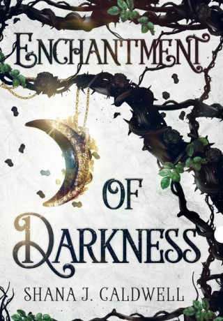 Enchantment of Darkness
