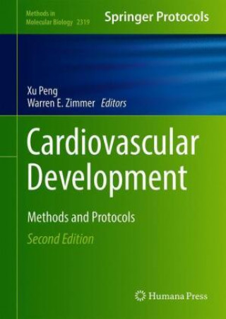 Cardiovascular Development