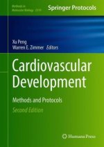 Cardiovascular Development