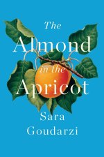 Almond in the Apricot