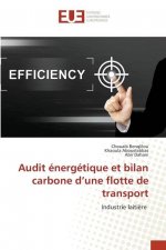 Audit energetique et bilan carbone d'une flotte de transport