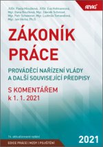 Zákoník práce, prováděcí nařízení vlády a další související předpisy