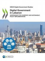 Digital government review of Lebanon
