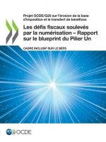 Projet Ocde/G20 Sur l'Erosion de la Base d'Imposition Et Le Transfert de Benefices Les Defis Fiscaux Souleves Par La Numerisation - Rapport Sur Le Blu