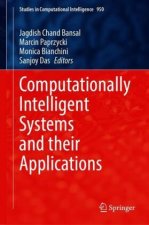 Computationally Intelligent Systems and their Applications