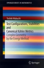 Test Configurations, Stabilities and Canonical Kahler Metrics