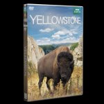 Yellowstone - DVD