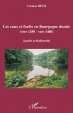 Les eaux et for?ts en Bourgogne ducale
