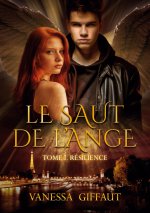 Saut de l'Ange