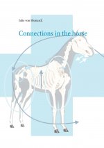 Connections in the horse